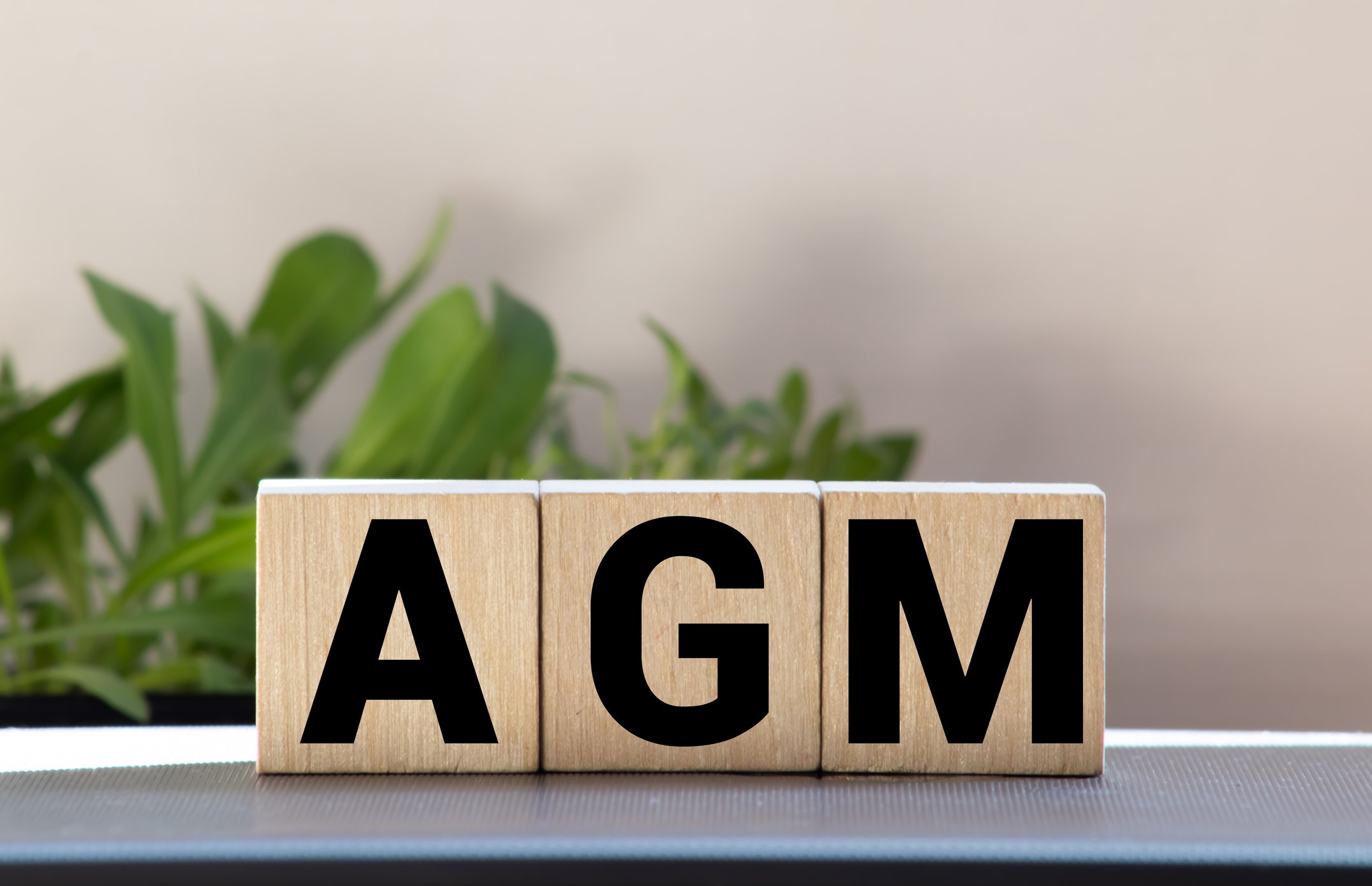 AGM [istockphoto]